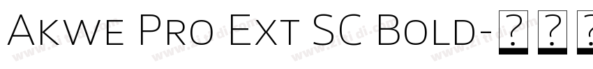 Akwe Pro Ext SC Bold字体转换